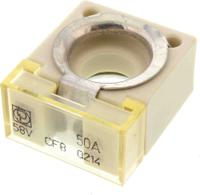 15508926171 Littelfuse 175A Grey, White CF Car Fuse, 58V dc