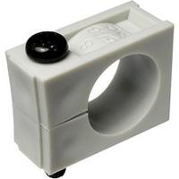 tmh-06 SMC PP Male Stud