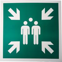 857-8630 Plastic Fire Safety Sign,  With Pictogram Only Text