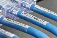 tze-sl261 Brother Black on White Label Printer Tape, 8 m Length, 36mm Label Length