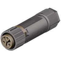 4603145504 Wieland RST Mini Series Mini Connector, 3-Pole, Female, 1-Way, Cable Mount, 16A, IP66, IP68, IP69