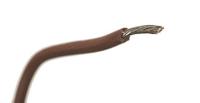 3057-br001 Alpha Wire Hook-up Wire PVC Series Brown 1.32 mm² Hook Up Wire, 16 AWG, 26/0.25 mm, 305m, PVC Insulation, 3057 BR001