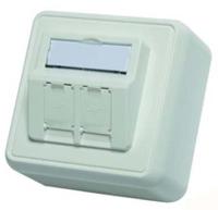 h02000a0092 Telegartner AMJ-S Series, 2 Way Faceplate
