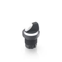 1302425260201 RAFI Selector Switch - 22.3mm Cutout Diameter, Illuminated 2 Positions