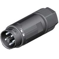 4605245531 Wieland RST16i2/3 Series Mini Connector, 5-Pole, Male, Cable Mount, 16A, IP66, IP68, IP69