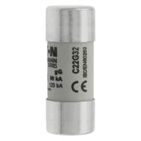 c22g32 Eaton 32A Ceramic Cartridge Fuse, 22 x 58mm