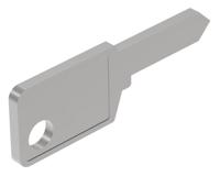 31-989311 EAO Spare key for Series 31 Switches