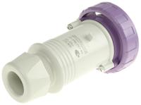 2351600 Scame IP67 Purple Cable Mount 2P Industrial Power Plug, Rated At 16A, 20 → 25 V