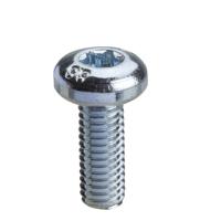 nsyst30m6 Schneider Electric Machine Screw
