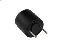 00346618 Schurter PC Board Non Resettable Fuse, Radial 2A, 250V ac