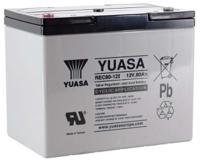 rec80-12 Yuasa 12V M6 Sealed Lead Acid Battery, 80Ah