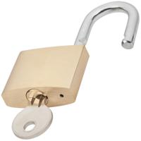 12c50 Squire Key Lock Brass Padlock, 8mm Shackle, 50mm Body