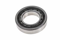 nu209-e-xl-tvp2 FAG NU209-E-XL-TVP2 45 mm ID Roller Bearing, 85 mm OD