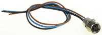 09-3412-00-03 binder Female 34 way M8 to 34 way Free End Sensor Actuator Cable, 5 m