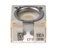 15508926101 Littelfuse 100A Grey, White CF Car Fuse, 58V dc