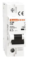 p2mb1pc100 Lovato ModuLo P2MB MCB, 1P, 100A Curve C, 230V AC, 60V DC, 10 kA Breaking Capacity