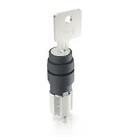 1151089410000 RAFI IP40 Key Switch 45-Way Tubular-Key