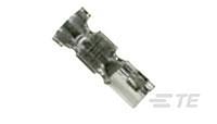 179227-4 TE Connectivity AMP CT Series Female Crimp Terminal, 22AWG Min, 26AWG Max