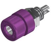 930166109 Hirschmann Test & Measurement Violet Female Banana Connector, 4 mm Connector, M6 Thread, Solder Termination, 32A, 60V