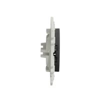 s540666 Schneider Electric Anthracite, 1 Gang, Odace