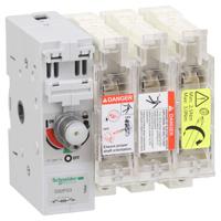gs2fg3 Schneider Electric Switch Disconnector, 3 Pole, 50A Max Current