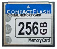 cf-ind-256gb Seeit CompactFlash Industrial 256 GB SLC Compact Flash Card