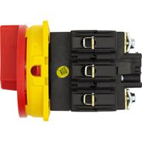 074320-p3-100easvb Eaton 3P Pole Panel Mount Isolator Switch - 100A Maximum Current, 55kW Power Rating, IP65