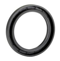 45x60x7-hmsa10-rg SKF Nitrile Rubber Seal, 45mm ID, 60mm OD, 7mm