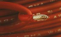 6716-br005 Alpha Wire Ecogen Ecowire Series Brown 1.3 mm² Hook Up Wire, 16 AWG, 26/0.25 mm, 30m, MPPE Insulation, 6716 BR005
