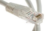 spe190655 Decelect, 1m Cat5e, Grey RJ45 to Male RJ45 Male, U/UTP Unshielded, Terminated PVC Sheath
