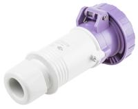 3351609 Scame IP66, IP67 Purple Cable Mount 3P Industrial Power Socket, Rated At 16A, 20 → 25 V