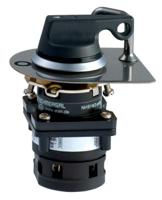 101204196 Schmersal 2P Pole Isolator Module - 20A Maximum Current, IP67