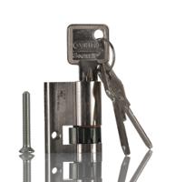 9785040 Rittal Silver Lock Insert, Mini Handle