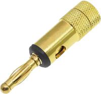 208-0280 RS PRO Black Male Banana Plug, 4 mm Connector, 24A, 30V, Gold Plating
