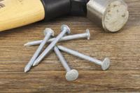 170-1641 RS PRO Galvanised Nails; 50mm x 3.35mm; 500g Bag