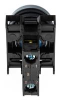 78639210-m22-dl-bm22-am22-led-b Eaton RMQ Titan M22 Series Blue Illuminated Momentary Push Button Head, 22mm Cutout, IP69K