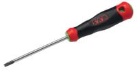 t-25x100 SAM Torx  Screwdriver, 100 mm Blade, 222.8 mm Overall