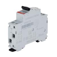 2css255101r0064-sn201-c6 ABB SN201 MCB, 2P, 6A Curve C, 230V AC, 6 kA Breaking Capacity