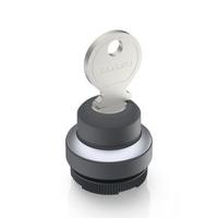 1302754320000 RAFI IP65 Key Switch 1-Way Tubular-Key