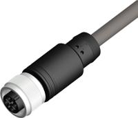 212-1716 RS PRO Female 4 way M12 to Unterminated Free End Sensor Actuator Cable, 2 m