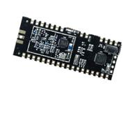gamma62t-89s RF Solutions, LoRa Module -148dBm Receiver Sensitivity