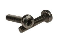 21100777 nVent SCHROFF Steel Screw for Use with Backplane Fixing