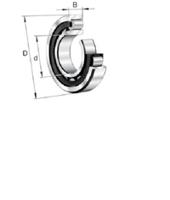 nu2211-e-xl-tvp2 FAG NU2211-E-XL-TVP2 55 mm ID Roller Bearing, 100 mm OD