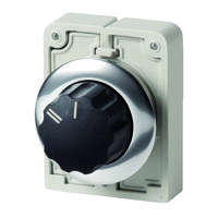 187114-m30c-fwr-x92 Eaton 2 Position 60° Changeover Cam Switch, Button Actuator
