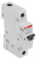 2cds211001r0104-sh201-c10 ABB Compact Home SH200 MCB, 1P, 10A Curve C, 440V AC, 60V DC, 6 kA Breaking Capacity
