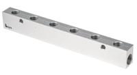 3311-13-17-06 Legris 3311 6 Outlet Manifold, G 3/8 G 1/4