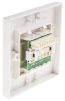 791-8490 RS PRO Angled Cat6 Face Plate,With STP Shield Type