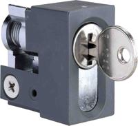 nsyinkjis2 Schneider Electric Cabinet Lock