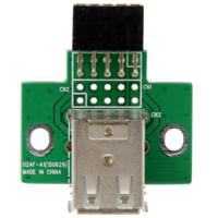 usbmbadapt2 StarTech.com- Dual Port Type A 2.0 USB Connector