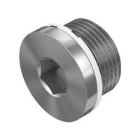 b-34 Festo 3/4 in Male Galvanised Steel Blanking Plug